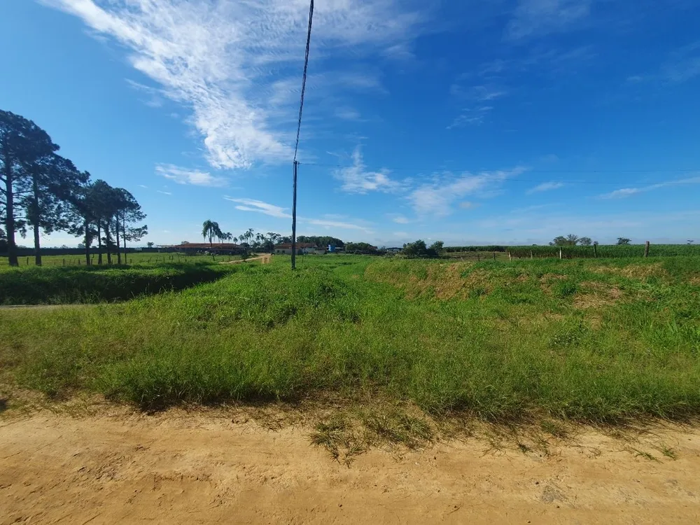 Fazenda, 97 hectares - Foto 1