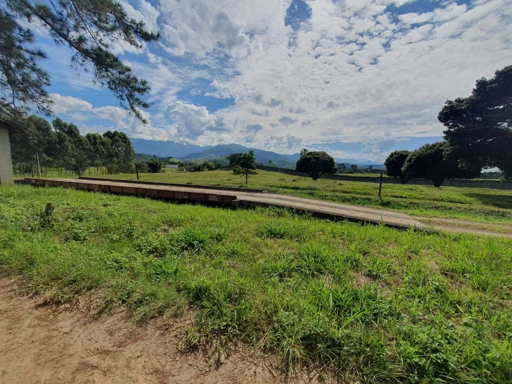 Fazenda, 97 hectares - Foto 4