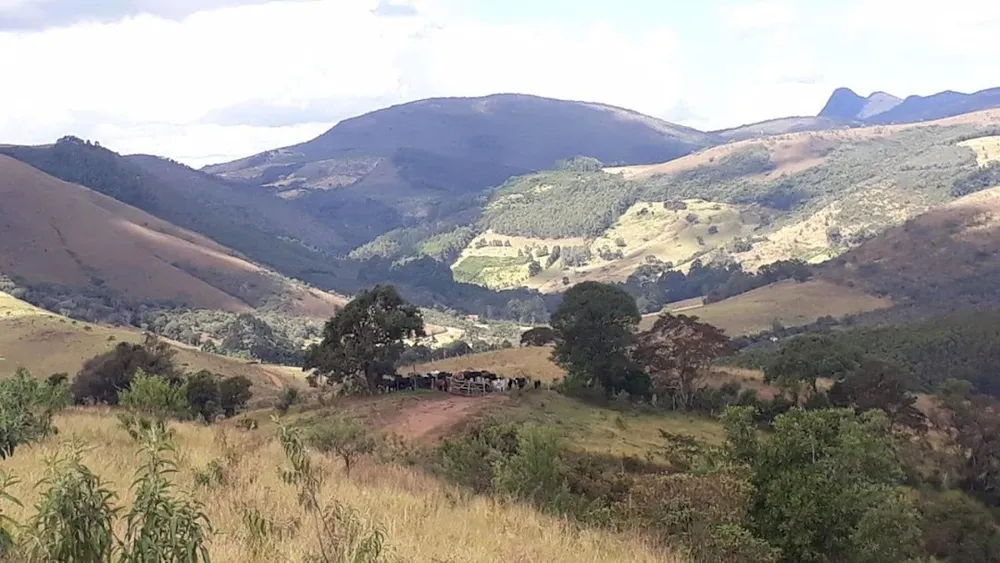 Fazenda, 605 hectares - Foto 4