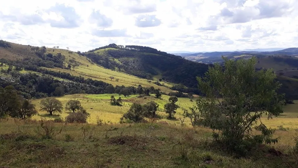 Fazenda, 605 hectares - Foto 14