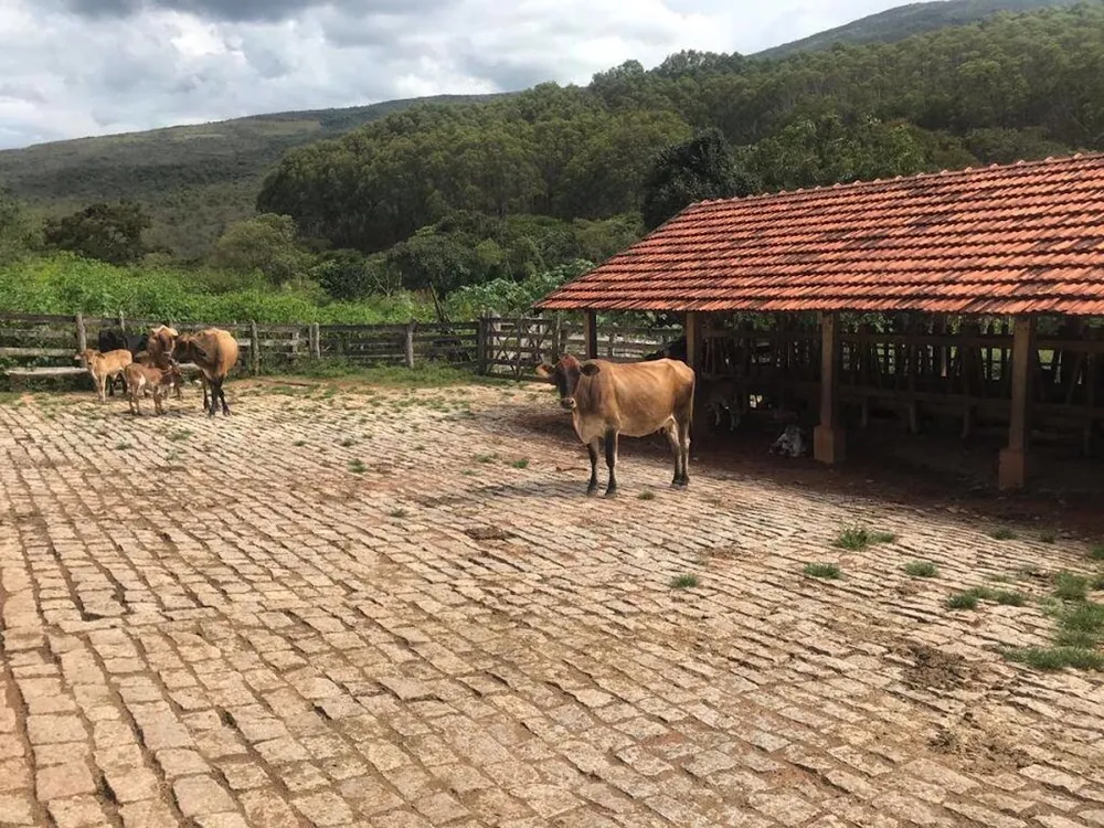 Fazenda, 605 hectares - Foto 6