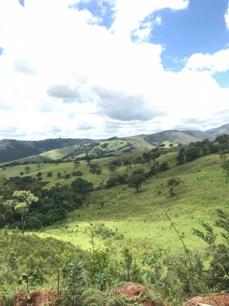 Fazenda, 605 hectares - Foto 7