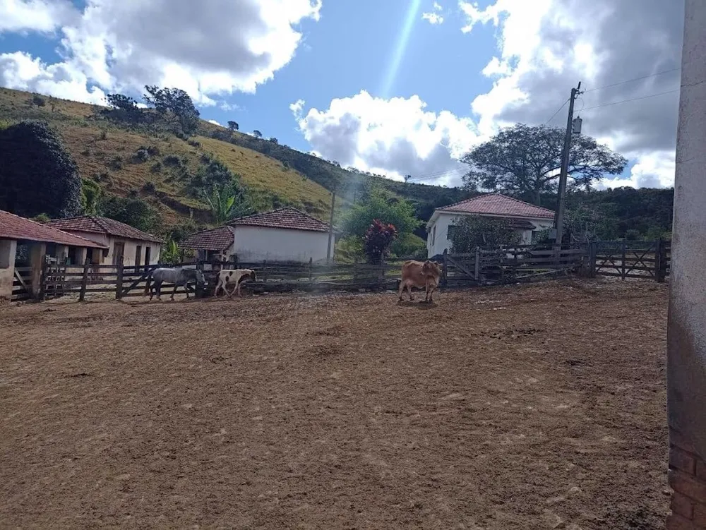 Fazenda, 605 hectares - Foto 13
