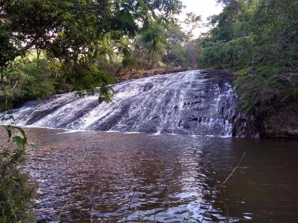 Fazenda, 605 hectares - Foto 12