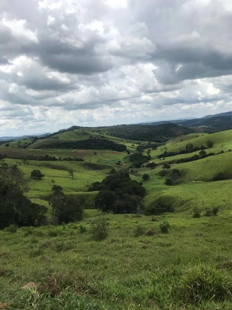 Fazenda, 605 hectares - Foto 10
