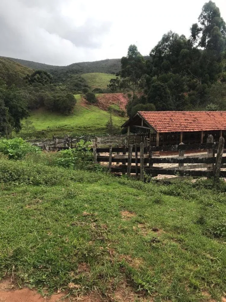 Fazenda, 605 hectares - Foto 8