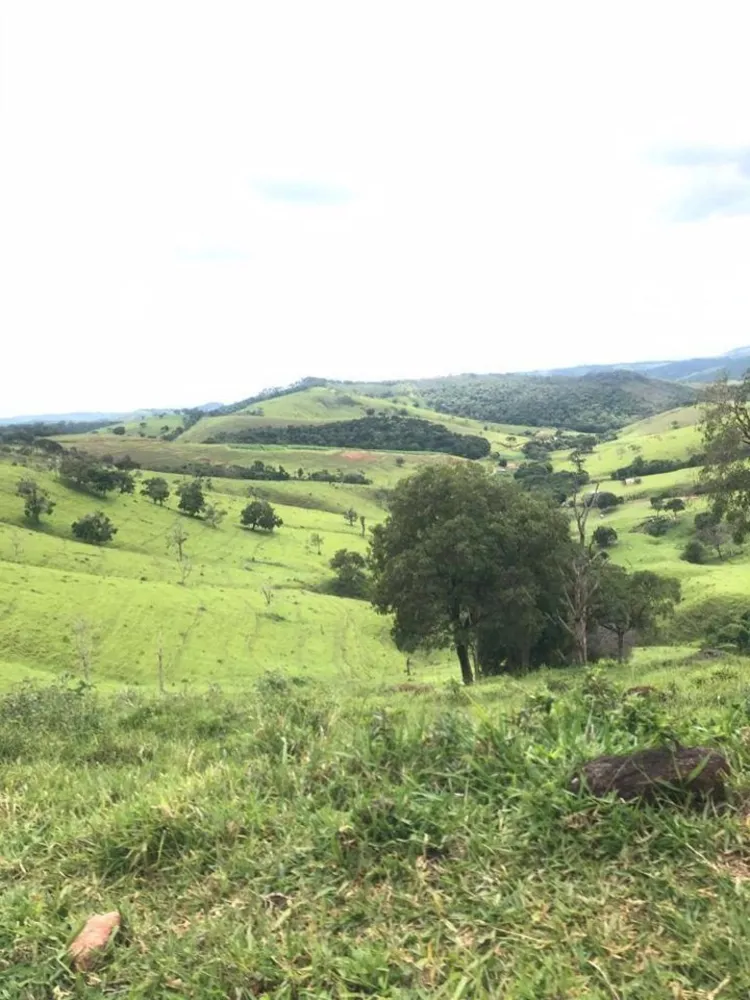 Fazenda, 605 hectares - Foto 5