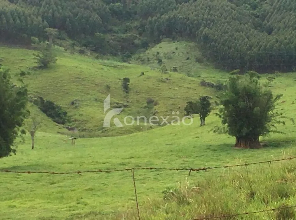 Fazenda, 400 m² - Foto 6