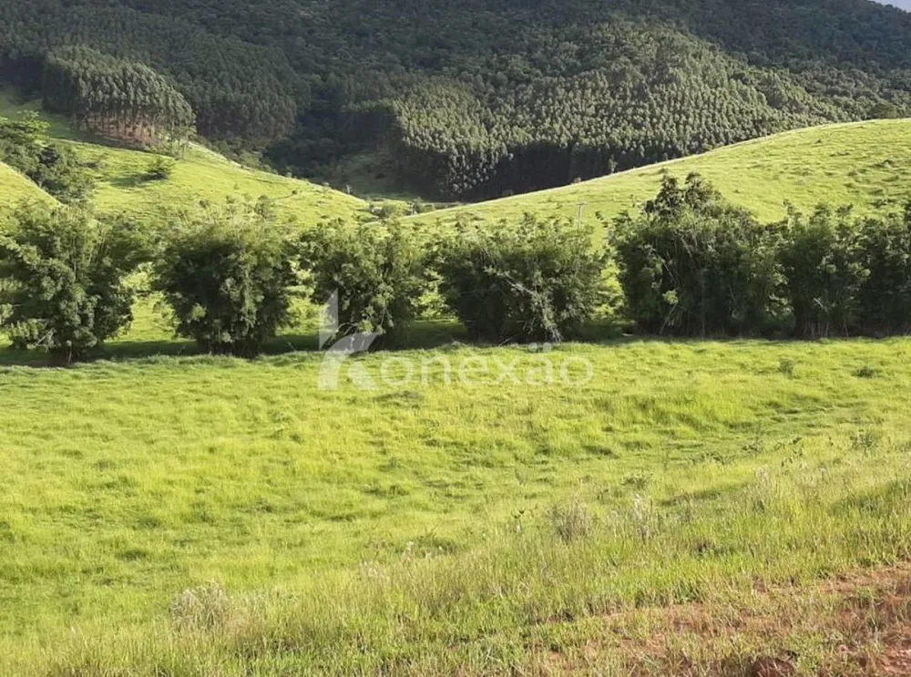 Fazenda, 400 m² - Foto 5