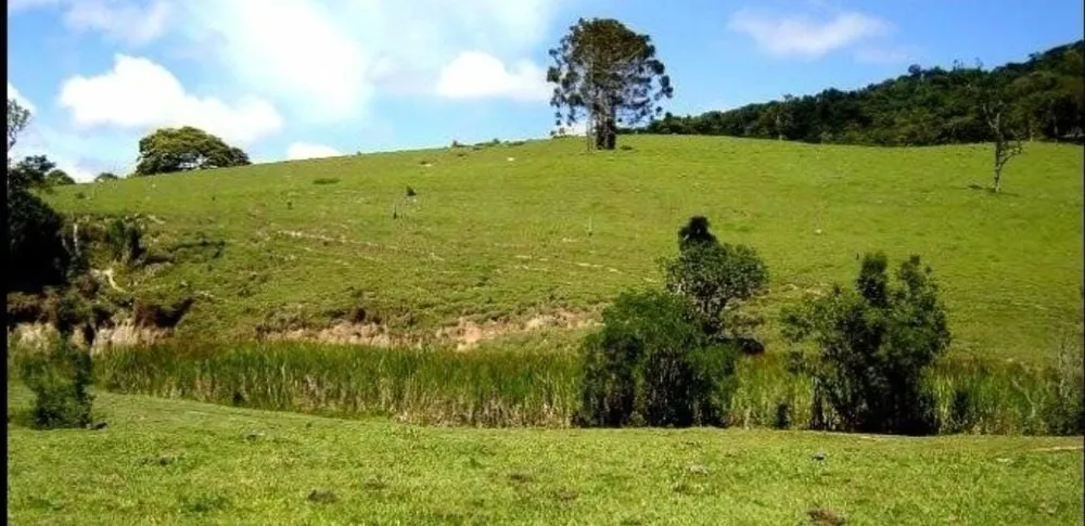 Fazenda, 300 m² - Foto 10