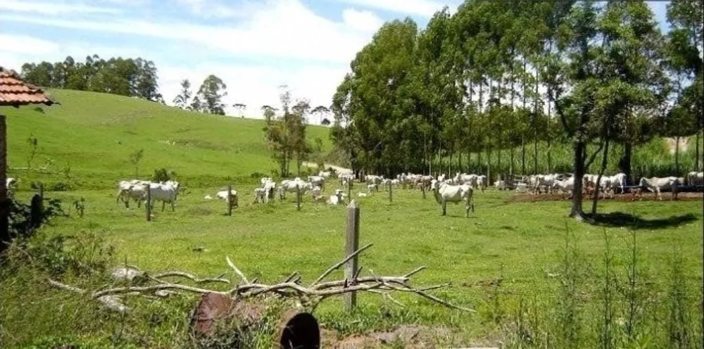 Fazenda, 300 m² - Foto 1