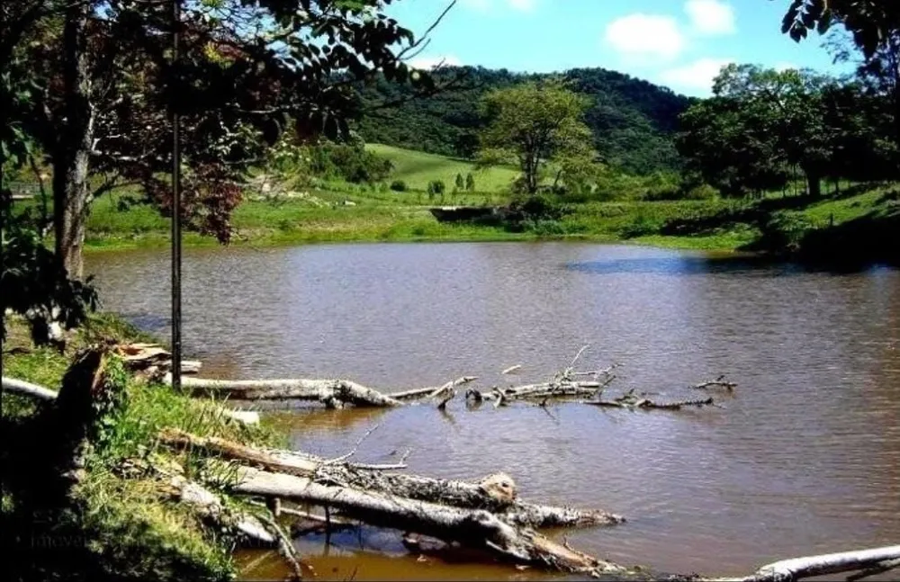 Fazenda, 300 m² - Foto 6