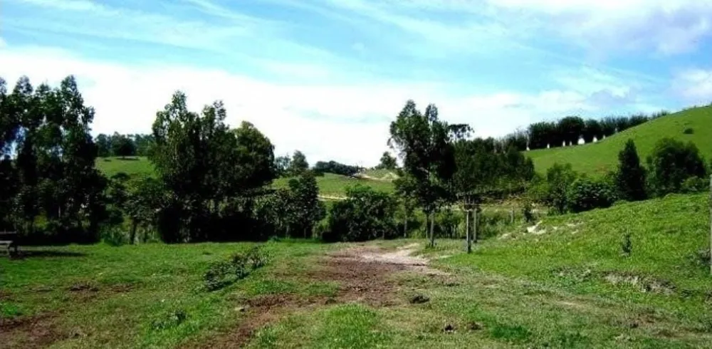 Fazenda, 300 m² - Foto 3