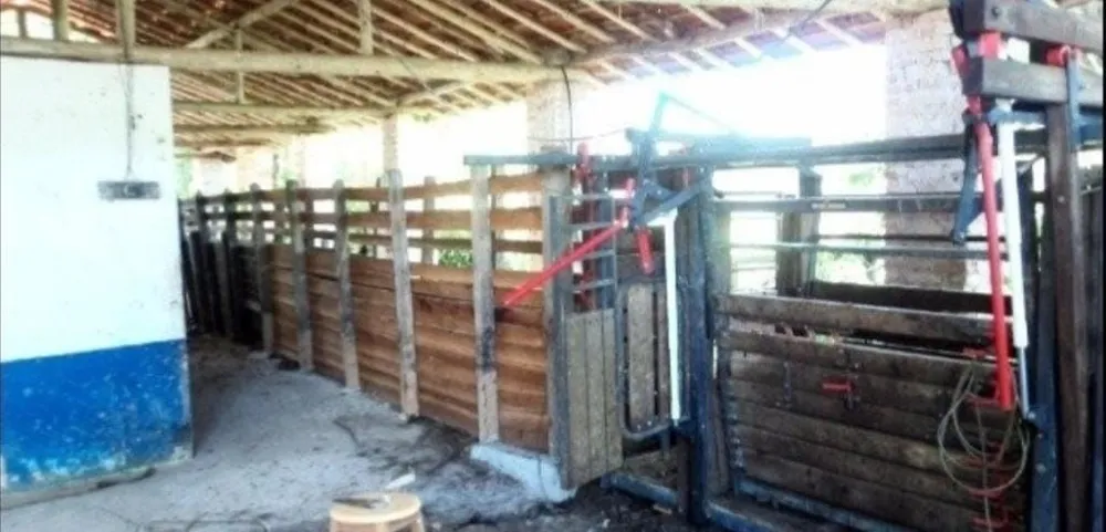 Fazenda, 300 m² - Foto 7