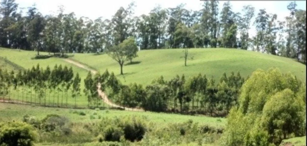 Fazenda, 300 m² - Foto 5
