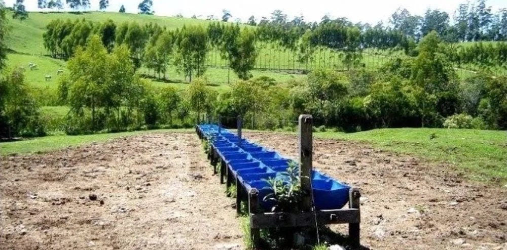 Fazenda, 300 m² - Foto 8