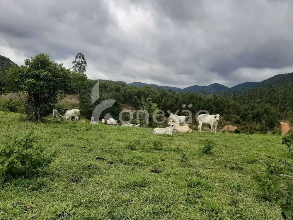 Fazenda, 600 m² - Foto 4