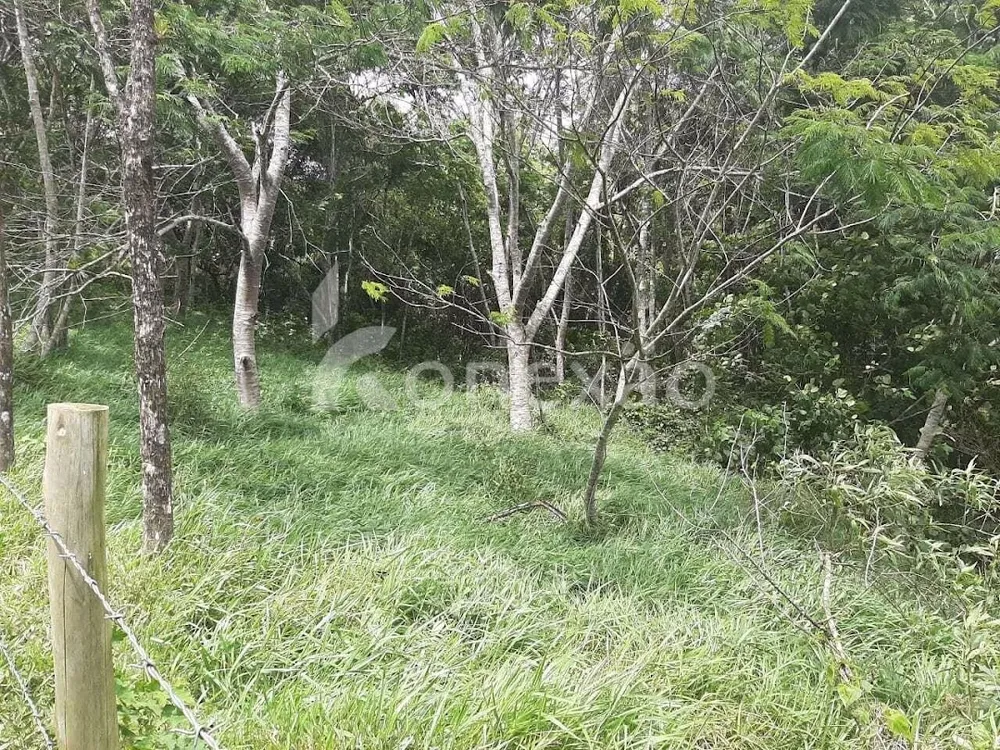 Fazenda, 600 m² - Foto 15