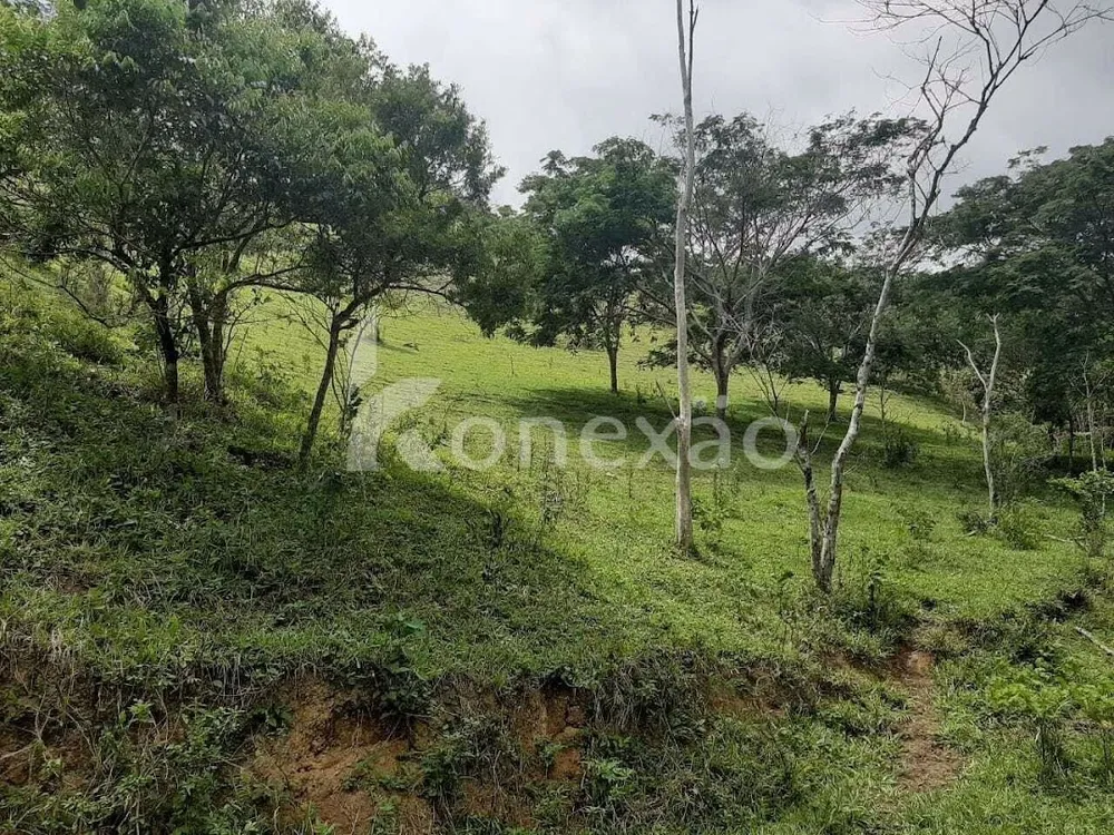 Fazenda, 600 m² - Foto 12