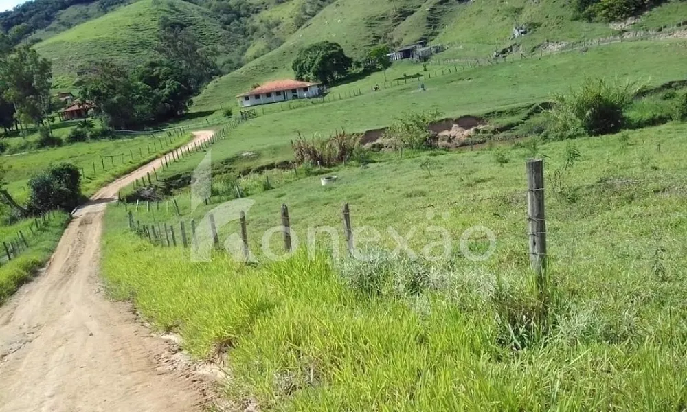 Fazenda, 200 m² - Foto 6