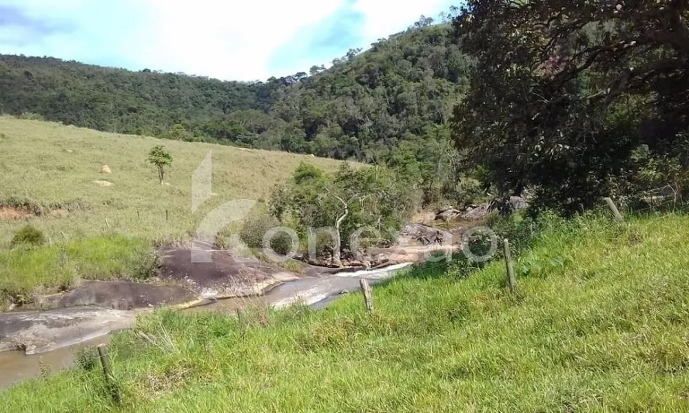 Fazenda, 200 m² - Foto 5