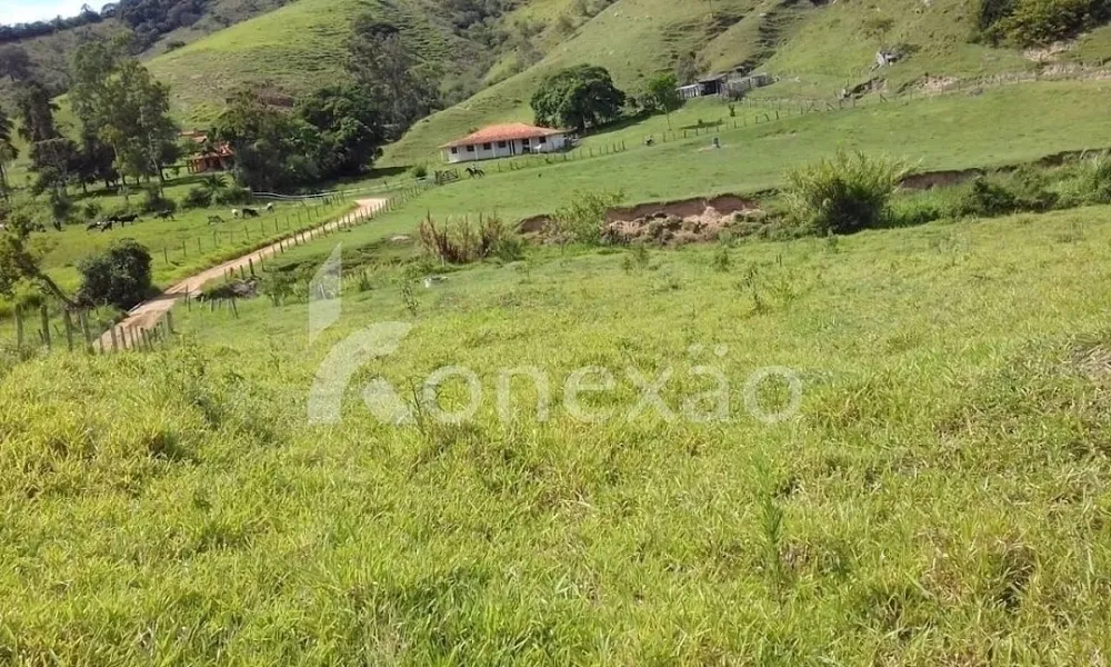 Fazenda, 200 m² - Foto 8