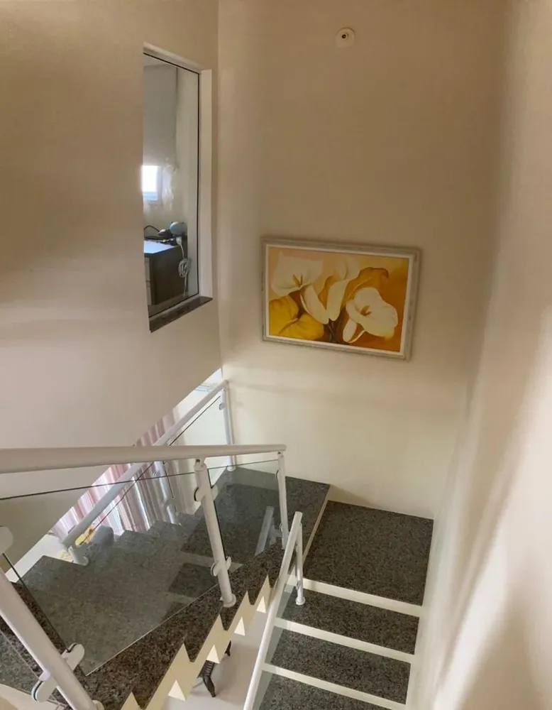 Sítio, 4 quartos, 300 m² - Foto 1
