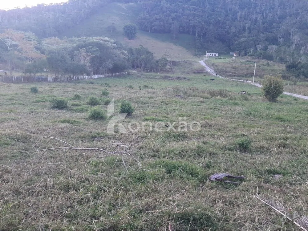 Chácara, 2 quartos, 250 m² - Foto 13