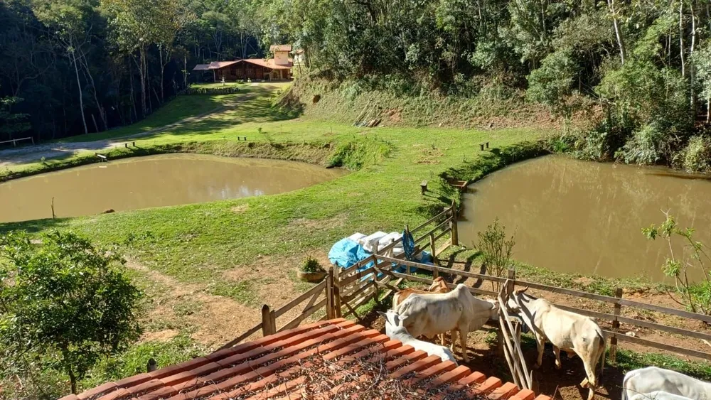 Chácara, 4 quartos, 300 m² - Foto 15