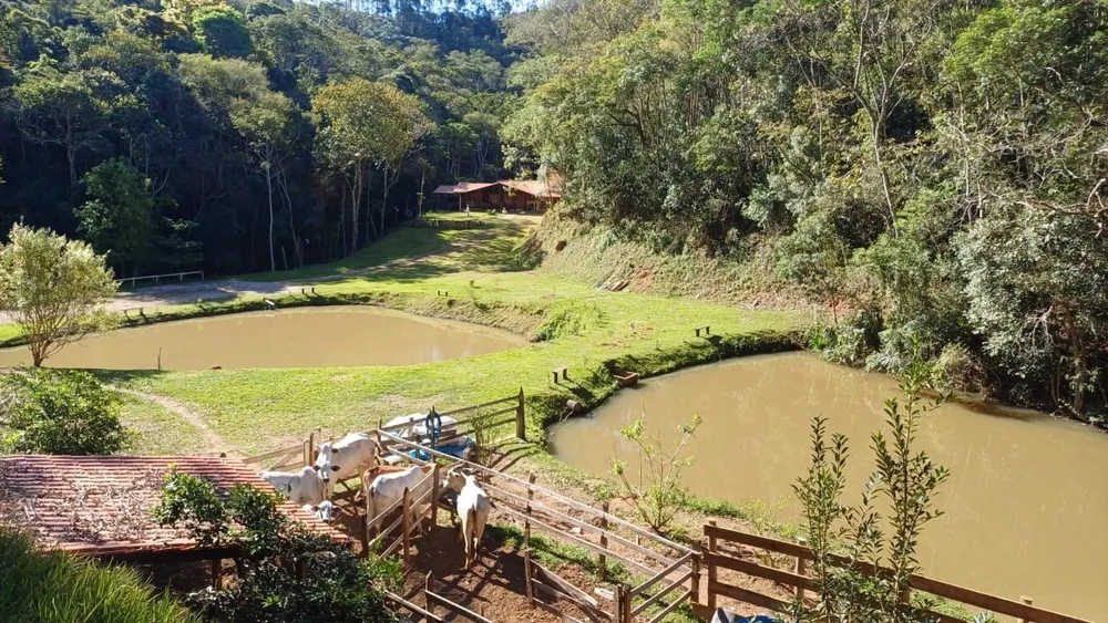 Chácara, 4 quartos, 300 m² - Foto 10