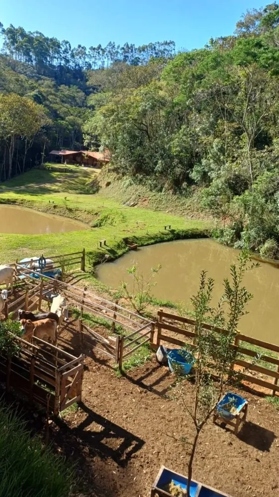 Chácara, 4 quartos, 300 m² - Foto 11
