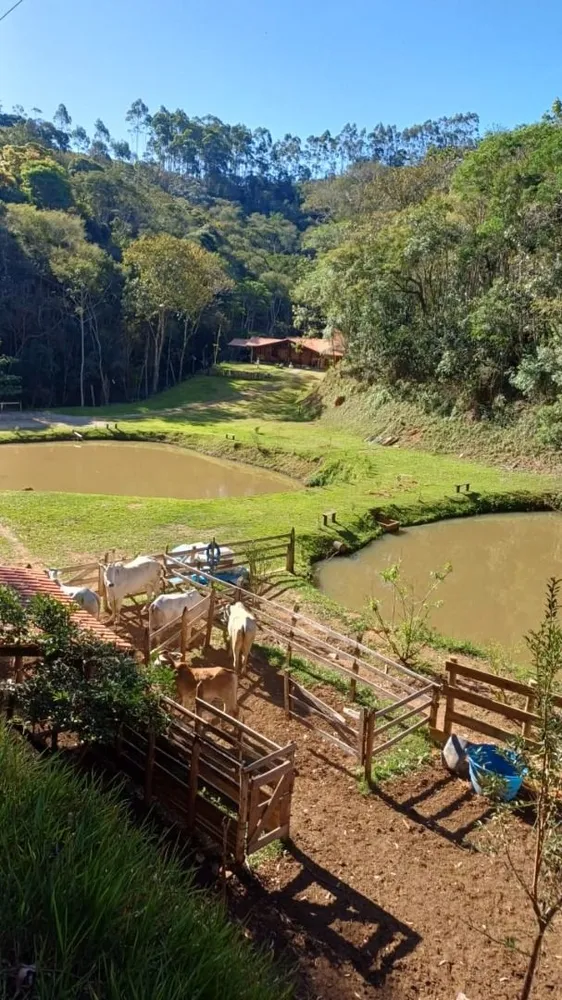 Chácara, 4 quartos, 300 m² - Foto 9