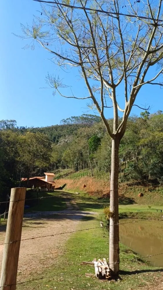 Chácara, 4 quartos, 300 m² - Foto 8