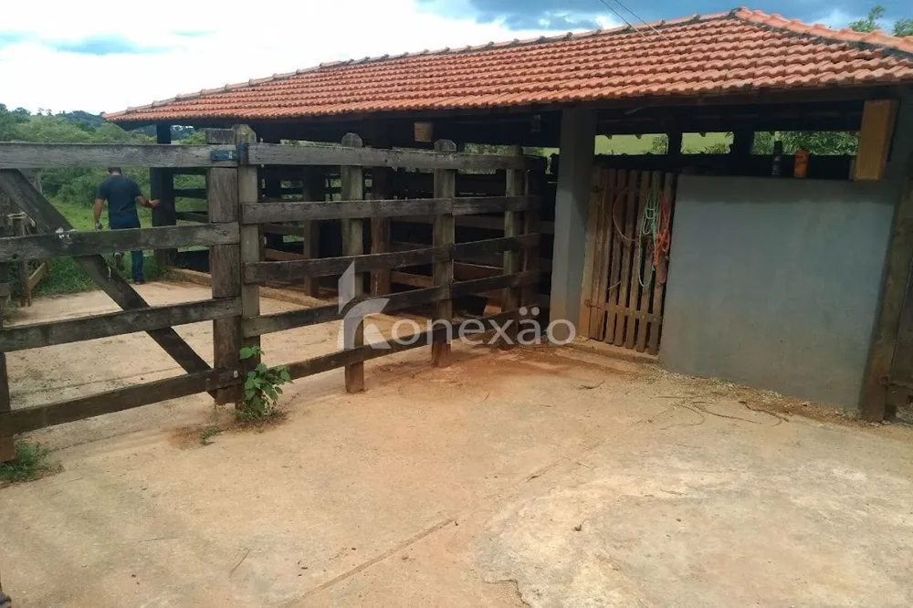 Sítio, 2 quartos, 200 m² - Foto 6