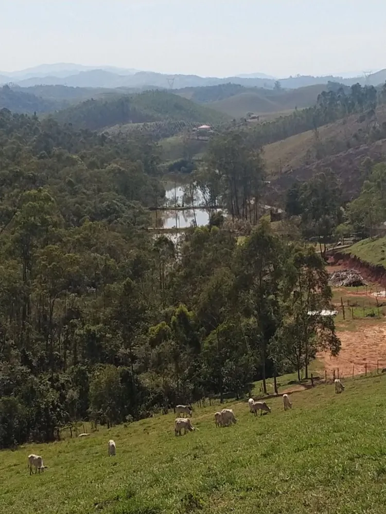 Fazenda, 150 m² - Foto 4