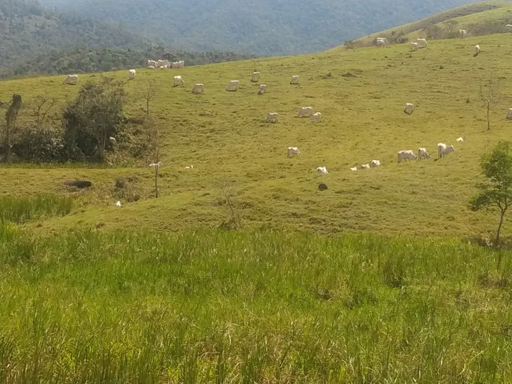 Fazenda, 150 m² - Foto 8