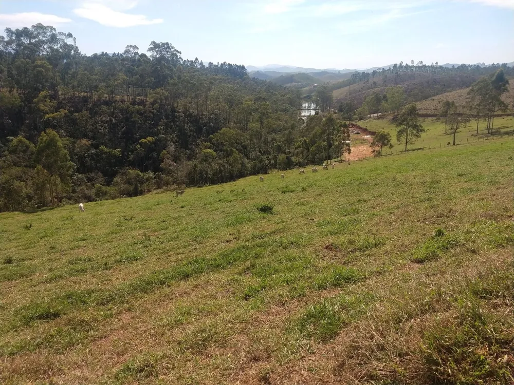 Fazenda, 150 m² - Foto 2