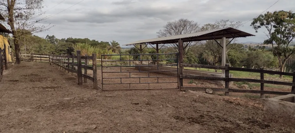 Fazenda, 100 hectares - Foto 2