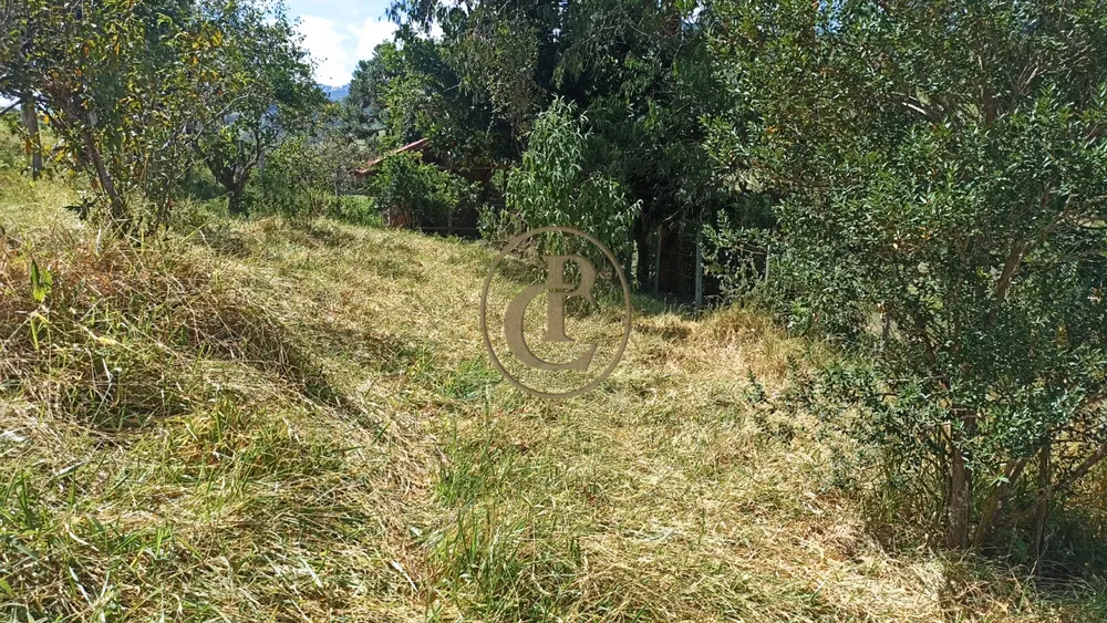 Sítio, 2 quartos, 100 m² - Foto 6