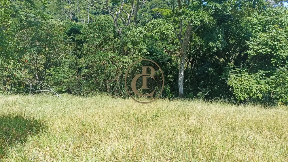 Sítio, 2 quartos, 100 m² - Foto 3