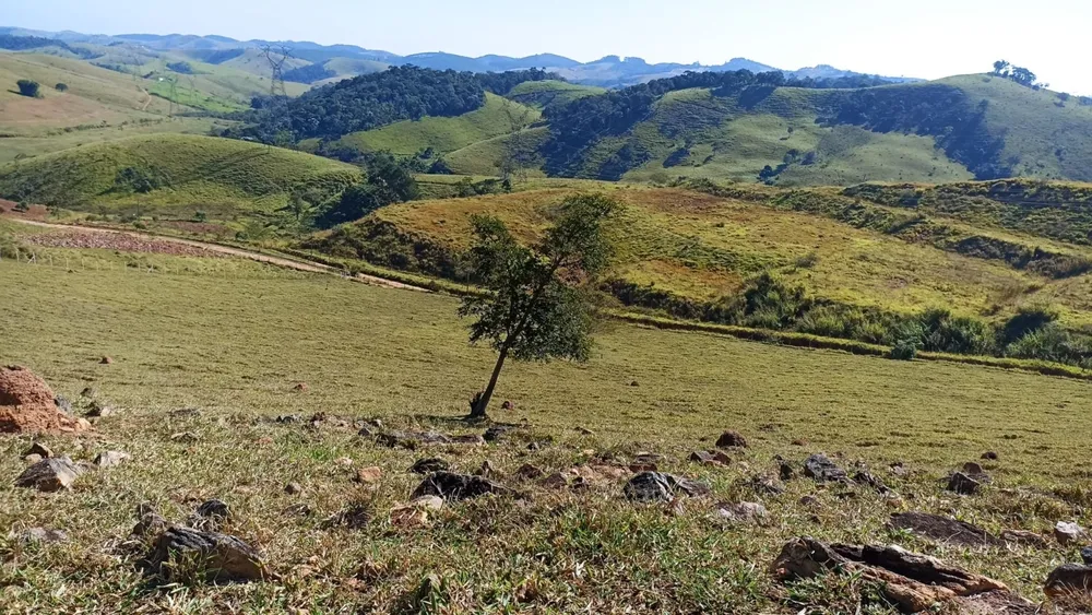 Terreno, 200 m² - Foto 1