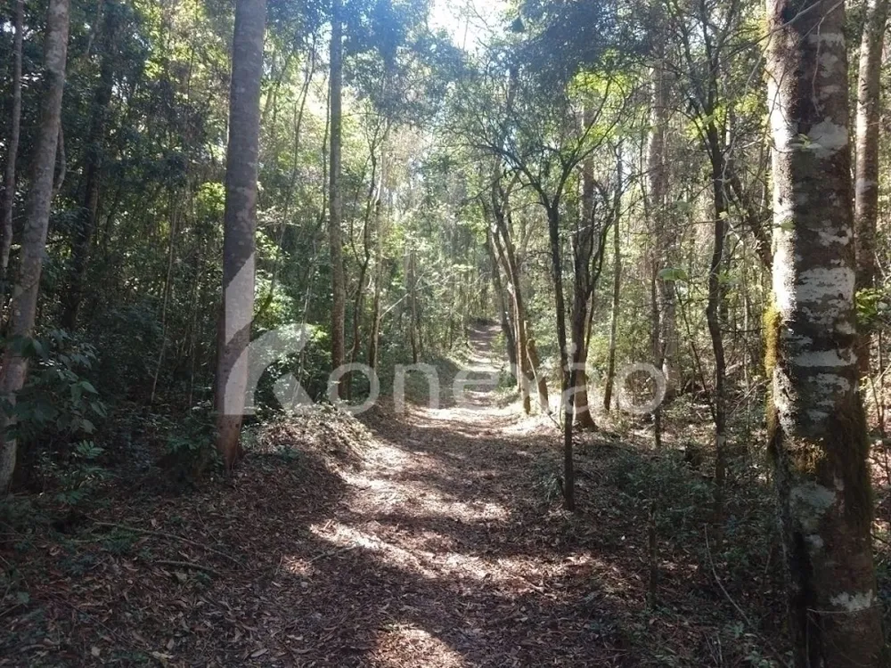 Fazenda, 100 m² - Foto 16