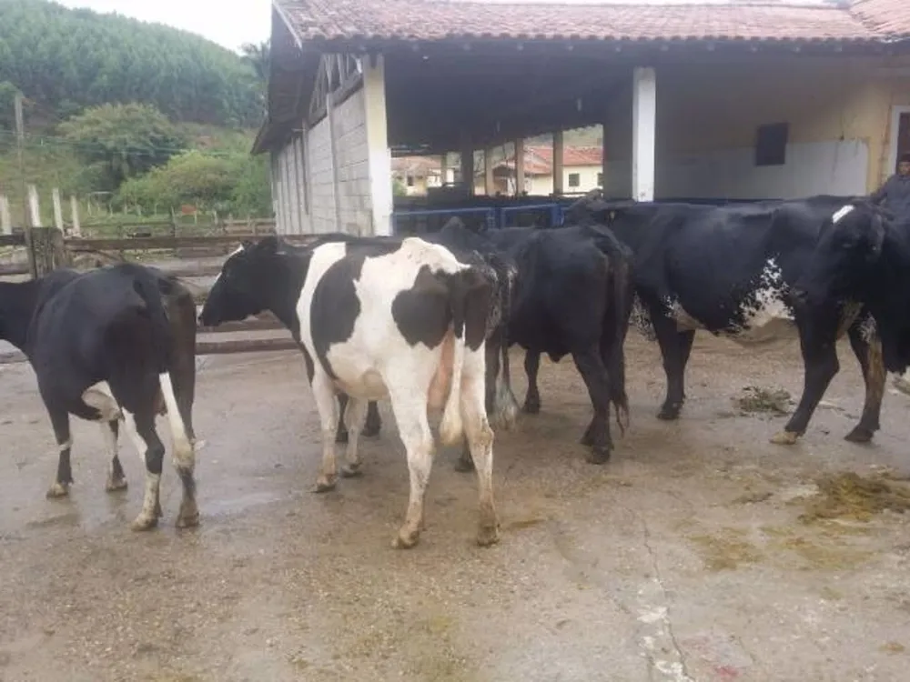 Fazenda, 500 m² - Foto 1