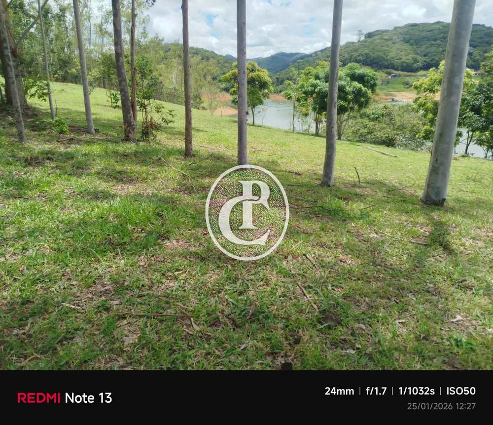 Terreno, 5 hectares - Foto 3