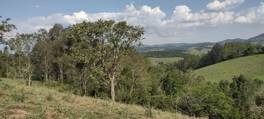 Sítio, 1 quarto, 100 m² - Foto 1