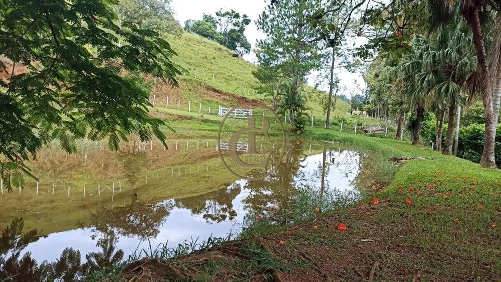 Sítio, 1 quarto, 200 m² - Foto 5