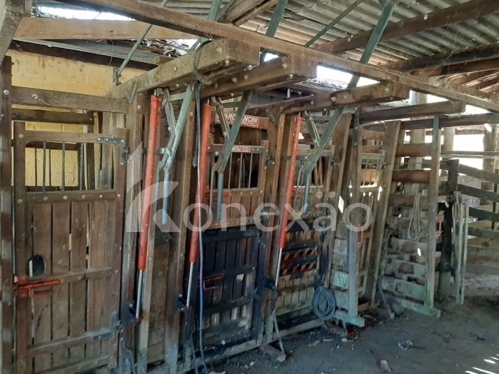 Sítio, 3 quartos, 200 m² - Foto 6