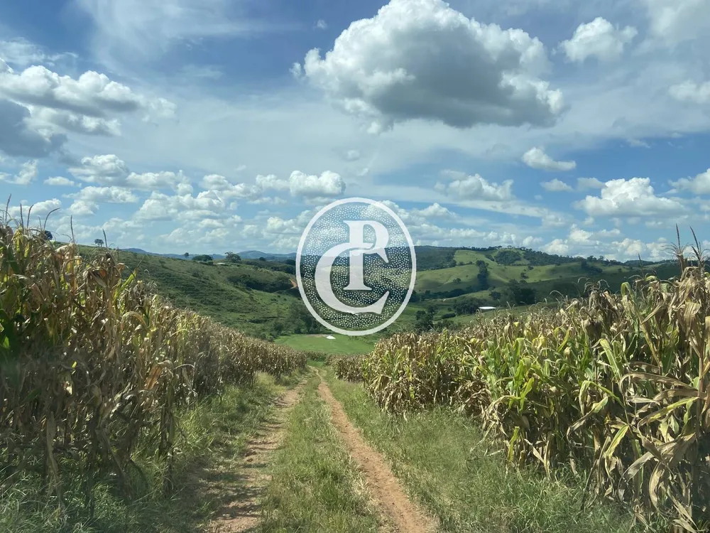 Fazenda, 400 m² - Foto 4