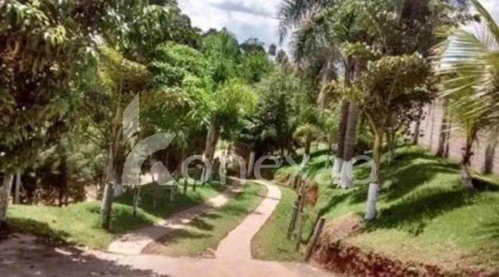 Chácara, 4 quartos, 250 m² - Foto 5