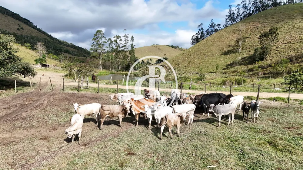 Fazenda, 46 hectares - Foto 12